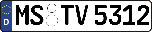 MS-TV5312