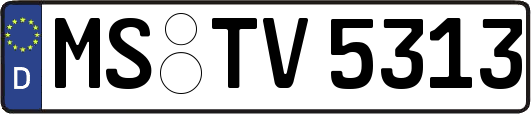 MS-TV5313