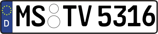 MS-TV5316