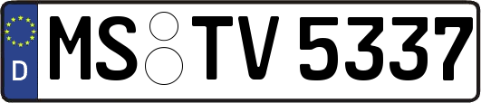 MS-TV5337