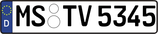 MS-TV5345