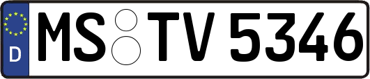 MS-TV5346
