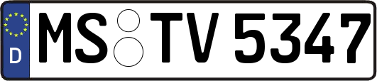 MS-TV5347
