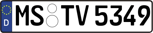 MS-TV5349