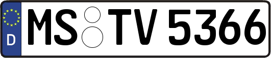 MS-TV5366