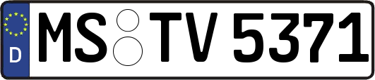 MS-TV5371