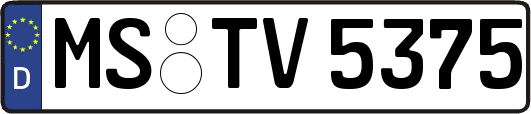 MS-TV5375