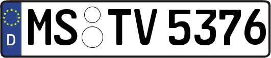 MS-TV5376