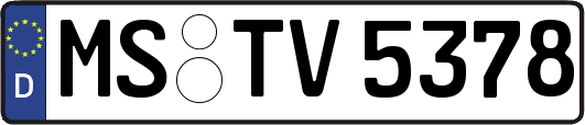 MS-TV5378