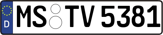 MS-TV5381