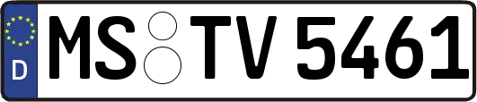 MS-TV5461