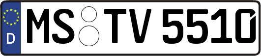 MS-TV5510