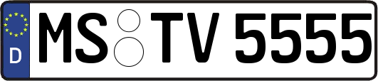 MS-TV5555