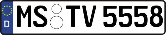 MS-TV5558