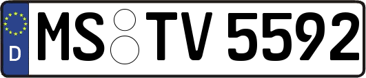 MS-TV5592