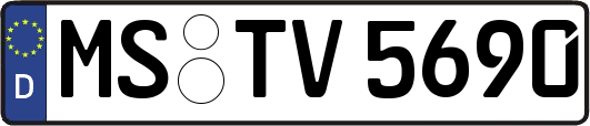 MS-TV5690