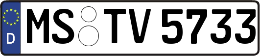 MS-TV5733