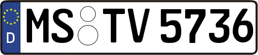 MS-TV5736