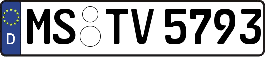 MS-TV5793