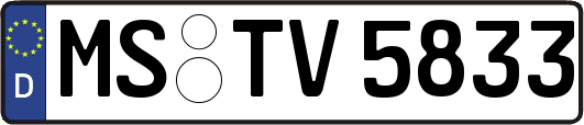 MS-TV5833