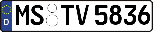 MS-TV5836