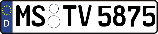 MS-TV5875