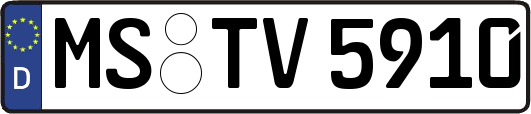 MS-TV5910