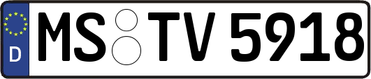 MS-TV5918