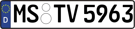 MS-TV5963