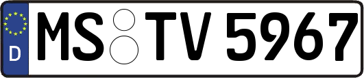 MS-TV5967