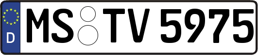 MS-TV5975