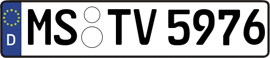 MS-TV5976