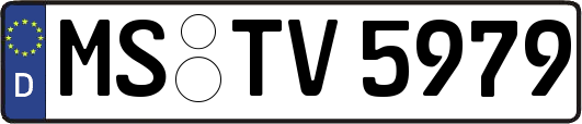 MS-TV5979