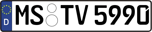 MS-TV5990