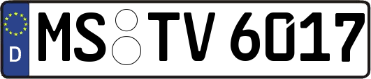MS-TV6017