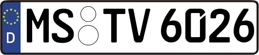 MS-TV6026