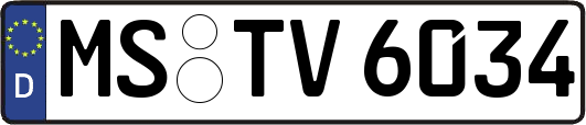 MS-TV6034