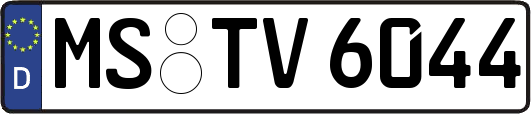 MS-TV6044