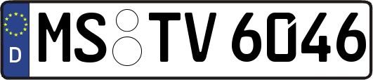 MS-TV6046