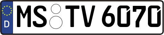 MS-TV6070