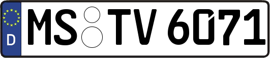 MS-TV6071