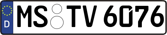 MS-TV6076