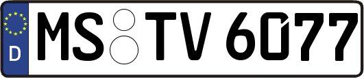 MS-TV6077