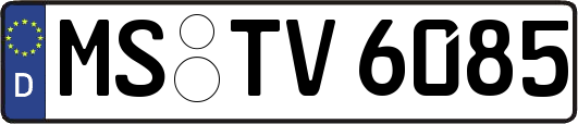 MS-TV6085