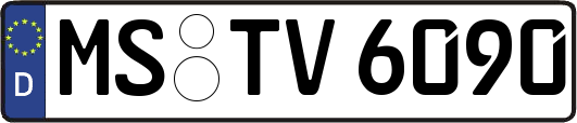 MS-TV6090