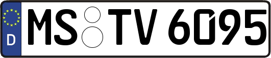 MS-TV6095