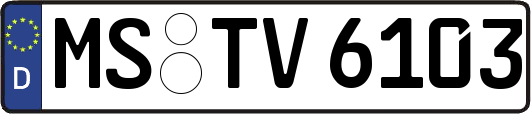 MS-TV6103