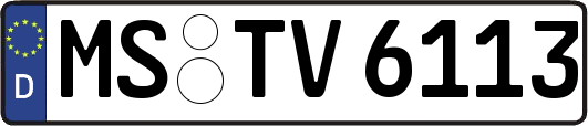 MS-TV6113