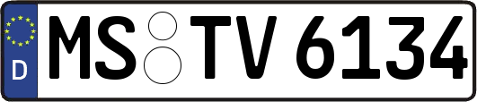 MS-TV6134