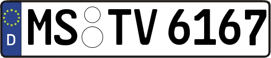 MS-TV6167